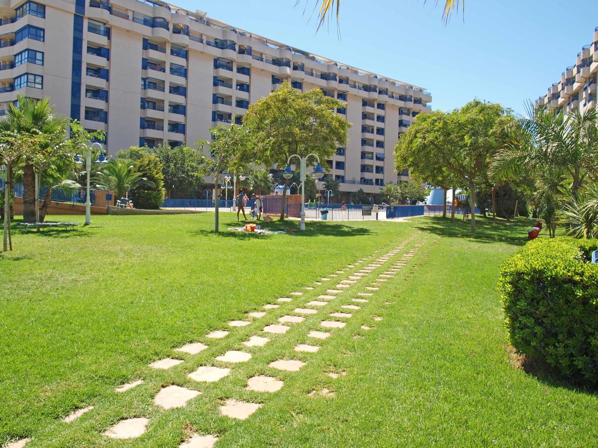 Apartup Patacona Orchard Views 瓦伦西亚 外观 照片